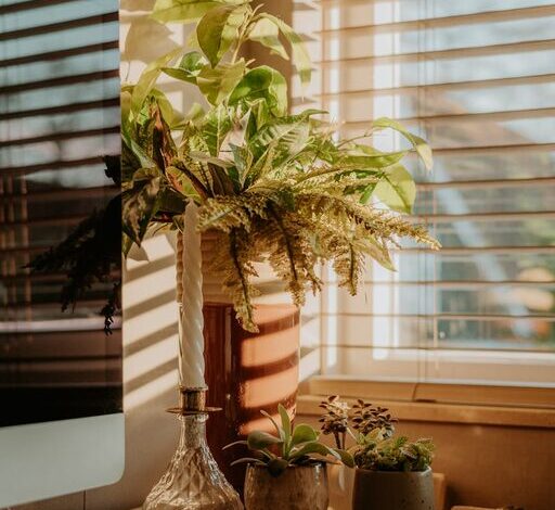 Tips for Creating a Cozy and Productive Home Office Environment